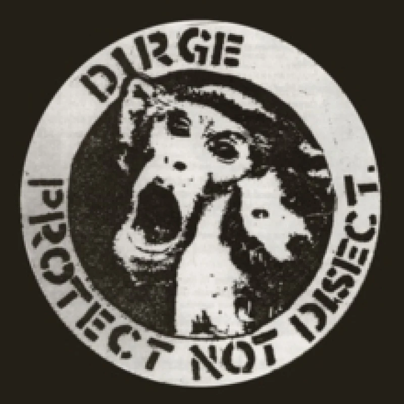 Image of Protect not disect Vinyl