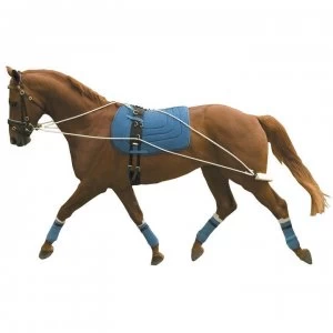 Image of Kincade Lunging Training System
