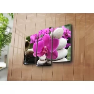 Image of 3PATK-76 Multicolor Decorative Canvas Painting (3 Pieces)