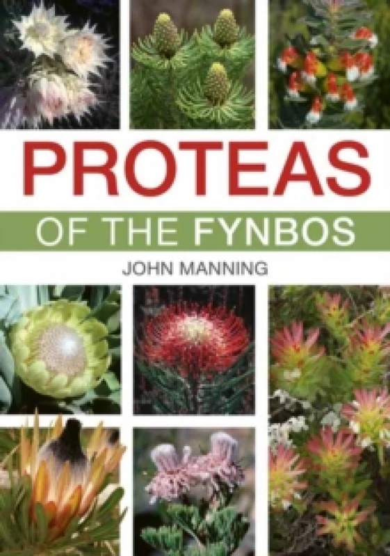 Image of Proteas of the Fynbos Paperback / softback