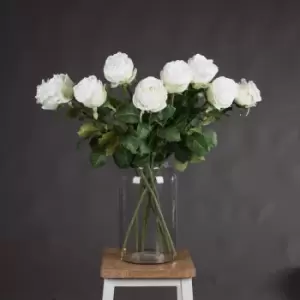 Image of Traditional White Rose