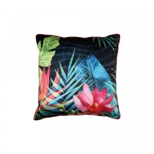 Image of Pindorama Filled Cushion