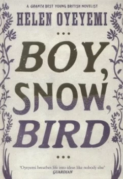Image of Boy Snow Bird by Helen Oyeyemi Hardback