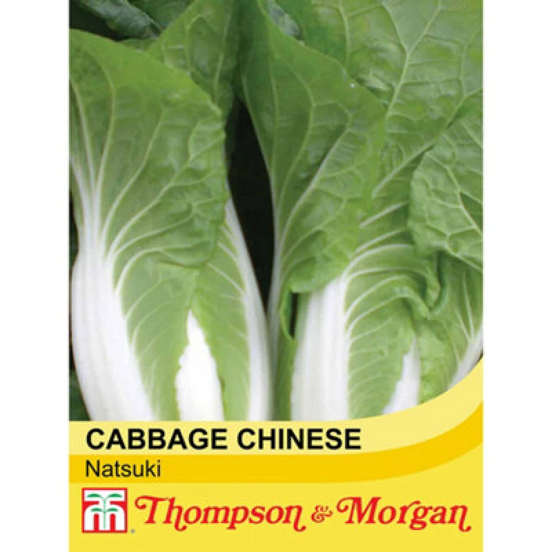 Image of Thompson & Morgan Cabbage Chinese Natsuki F1 Hybrid 1 Seed Packet (30 Seeds)