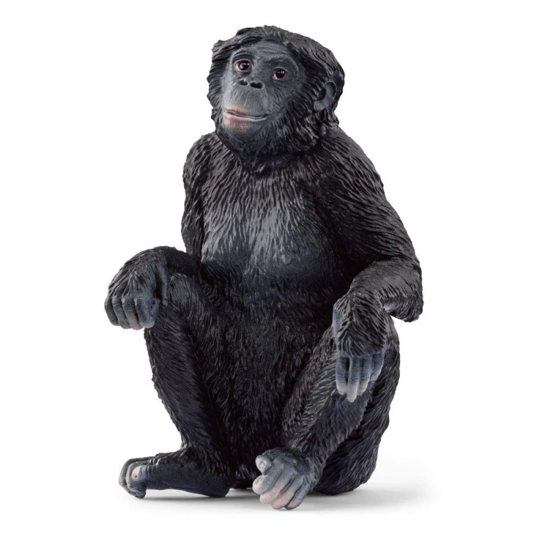 Image of Schleich Bonobo Female Multi unisex