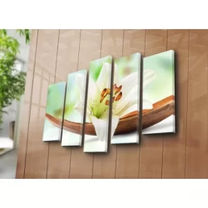 Image of 5PATK-66 Multicolor Decorative Canvas Painting (5 Pieces)