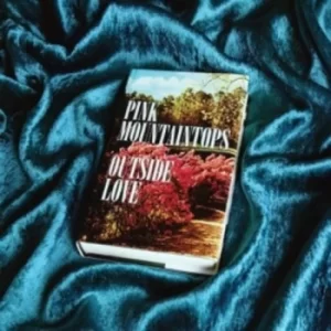 Image of Outside Love by The Pink Mountaintops CD Album