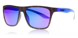 Image of Puma Fitzroy Sunglasses Tortoise 003 56mm