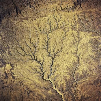 Image of Passion - Sources by Various Artists Vinyl Album