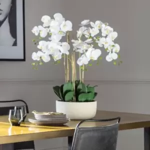 Image of Crossland Grove Orchid Bowl White Large 580X580X680Mm