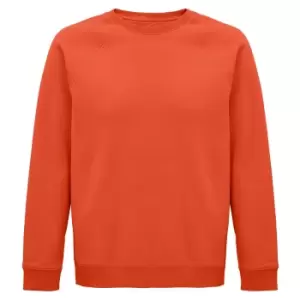 Image of SOLS Unisex Adult Space Organic Raglan Sweatshirt (S) (Burnt Orange)