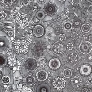 Image of Units and Measurements by Units and Measurements Vinyl Album