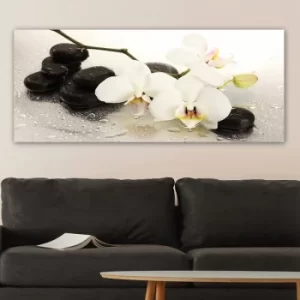 Image of YTY187362956_50120 Multicolor Decorative Canvas Painting