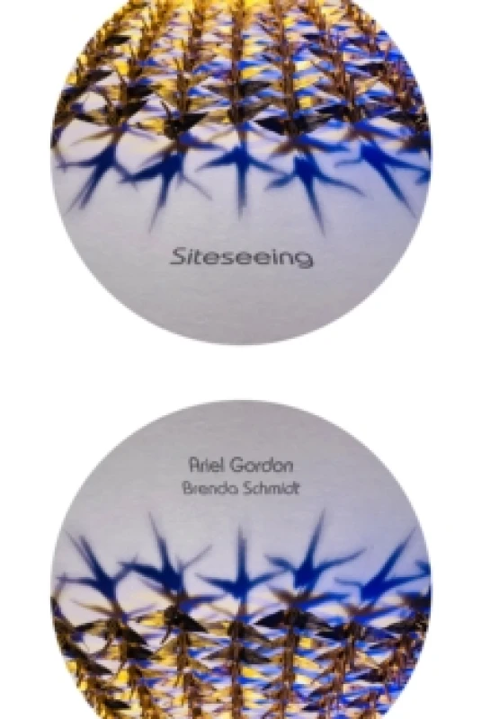 Image of Siteseeing Paperback / softback