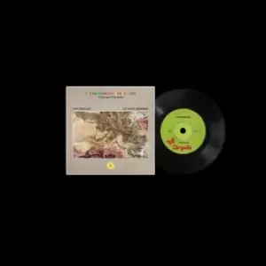 Image of The Endless Coloured Ways The Songs of Nick Drake by Fontaines D.C./Let's Eat Grandma Vinyl Album