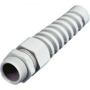 Image of Cable gland M20 Polyamide Light grey
