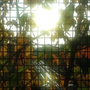 Image of Morning Sun by Jon Hunt CD Album