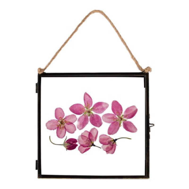 Image of Nicola Spring Hanging Metal Photo Frame - 8" x 8" - Black Black