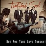 Image of Tortured Soul - Hot For Your Love Tonight (Music CD)