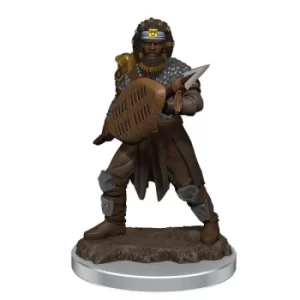 Image of D&amp;D Icons of the Realms Premium Figures (W7) Male Human Fighter