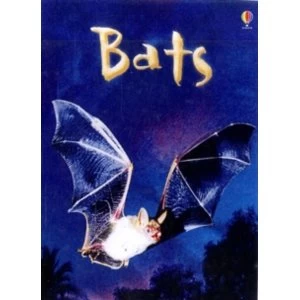 Image of Bats by Megan Cullis (Hardback, 2009)