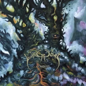 Image of Conduit by King Goat CD Album