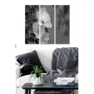 Image of MDF659216 Multicolor Decorative MDF Painting (3 Pieces)