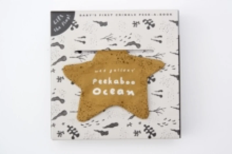 Image of Peekaboo Ocean : Volume 2 Rag book