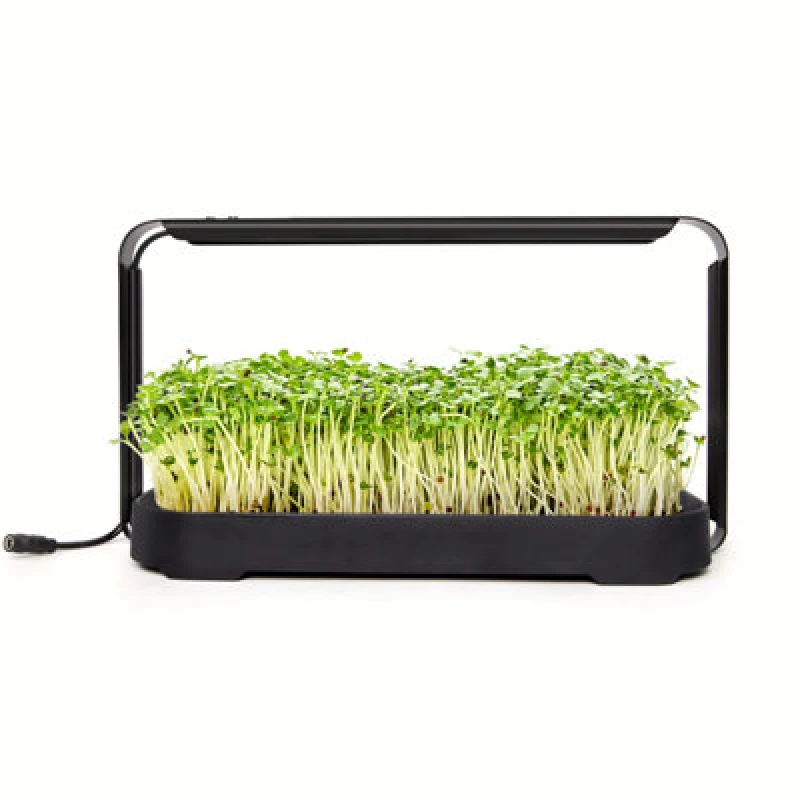Image of GardenSkill Hydroponics Growing System With Full Spectrum LED Light - Indoor Smart Garden Microgreen & Herb Germinator For Kitchen, Windowsill