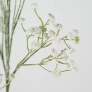 Image of Crossland Grove Gypsophila Spray Large White (6Pk) H900Mm