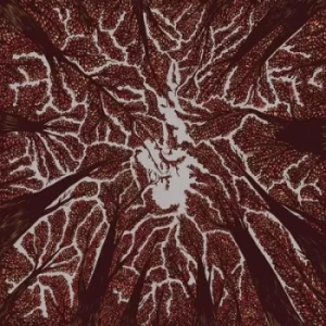 Image of Crown Shyness by Trash Boat CD Album