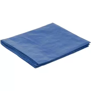 Image of Heavy Duty Leno Clear Tarpaulin 4 x 5 Metre (13.1' x 16.4')