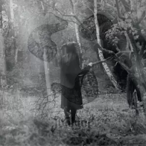 Image of Not Ever by Soul Grip CD Album