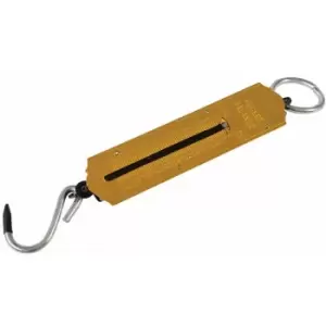 Image of Silverline - Spring Balance - 50kg