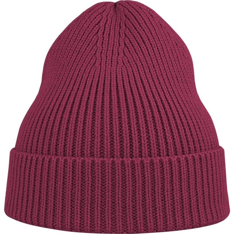 Image of Atlantis Atlantis Men Andy Polyester Beanie in Burgundy Burgundy One Size Male 5063300874127