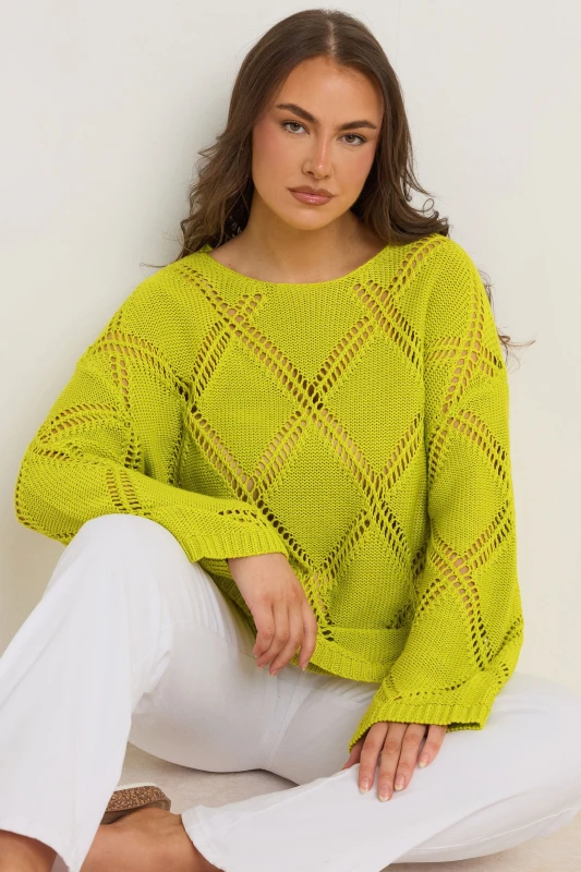 Image of Evans Diamond Pointelle Jumper Green