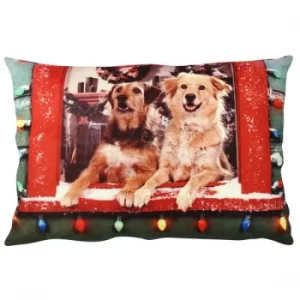 Image of A50841 Multicolor Cushion