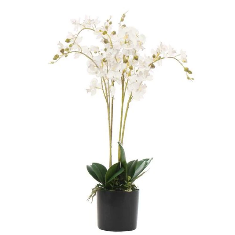 Image of Leaf 60cm Artificial Luxury Orchid - Triple Stem - White Realistic Plant White unisex