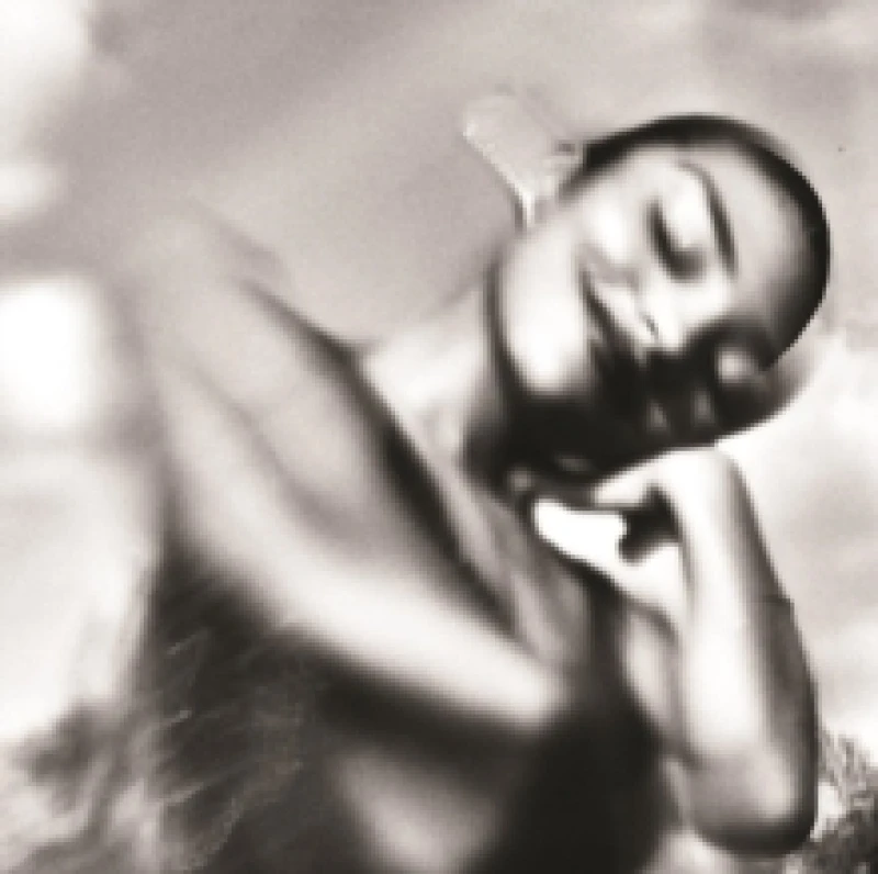 Image of The Art of Loving Vinyl