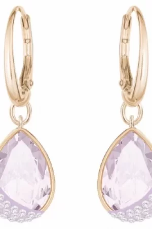 Image of Ladies Swarovski Jewellery Heap Earrings 5351136