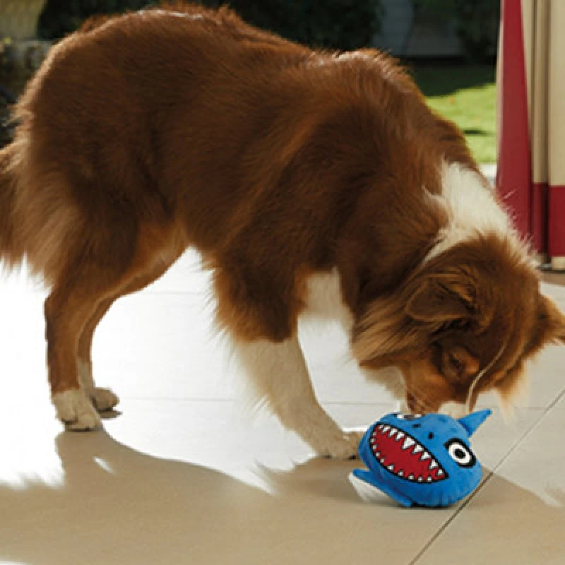Image of JML JML Chuckle Chums Shark Dog Toy