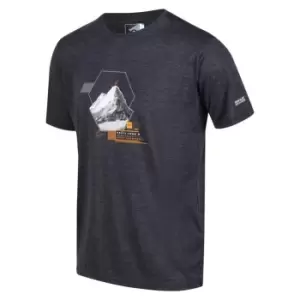 Image of Regatta Fingal VI T-Shirt - IndiaGryMarl