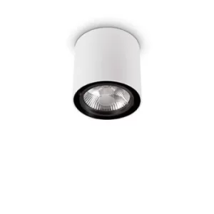 Image of Mood 1 Light Large Round Surface Mounted Downlight White, GU10