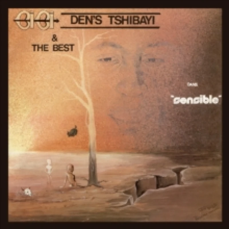 Image of Bibi Den's Tshibayi - Sensible [CD / Album] Music CDs - Music CD