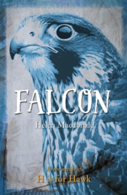 Image of Falcon Paperback / softback
