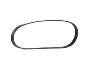 Image of RIDEX V-ribbed belt 305P0025 Serpentine belt,Auxiliary belt BMW,FIAT,SUZUKI,3 Limousine (E46),5 Limousine (E39),3 Touring (E46),5 Touring (E39)