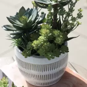 Image of Gallery Interiors Lucina Potted Succulents Faux Plant Brown And Green / Small