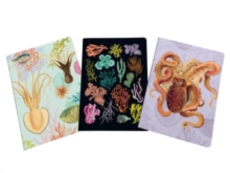 Image of Art of Nature: Under the Sea Sewn Notebook Collection : Set of 3 Paperback / softback