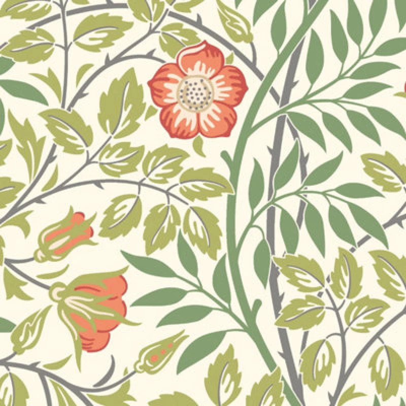 Image of Hoopla Walls Rosehip Trail Coral Pink Smooth Matt Wallpaper