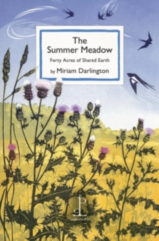 Image of The Summer Meadow : Forty Acres of Shared Earth Paperback / softback
